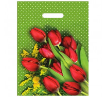 Пакет с вырубной ручкой 30*40 35мкм В АССОРТИМЕНТЕ (50/1000) ИнтерПак