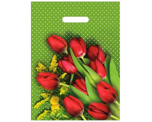 Пакет с вырубной ручкой 30*40 35мкм В АССОРТИМЕНТЕ (50/1000) ИнтерПак купить в Новосибирске в Упакофф