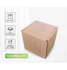 Коробка картонная самосборная 100*100*100мм СП УФА ЧЛБ НСК