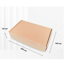 Коробка картонная самосборная 220*140*50мм СП ЧЛБ НСК