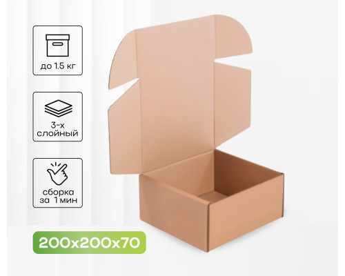 Коробка картонная самосборная 200*200*70мм СП ЧЛБ УФА НСК