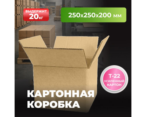 Коробка картонная 250*250*200 Т22