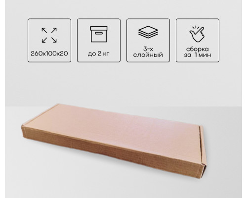 Коробка картонная самосборная 260*100*20мм СП УФА НСК